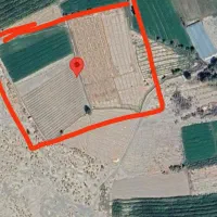 اجاره دو 2 هکتار زمین کشاورزی