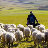 کار در ترکیه|استخدام صنعتی، فنی، مهندسی|تبریز, |دیوار