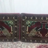 پشتی  طاووس|پشتی|قم, شهر قائم|دیوار