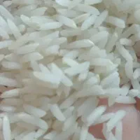 برنج هاشمی اورگانیک|خوردنی و آشامیدنی|اسالم, |دیوار