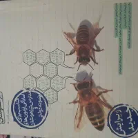 کتابهای  خیلی سبز نهم|کتاب و مجله آموزشی|باغستان, |دیوار