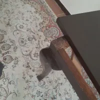 میز ناهار خوری چوبی سالم وتمیز|میز و صندلی غذاخوری|اندیشه, اندیشه فاز ۴|دیوار