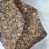 کشمش سایه خشک تازه