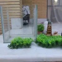 آکواریوم شیشه ای