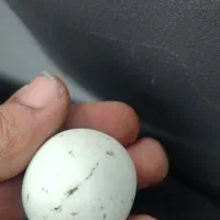 سنگ الماس آسیاب اصل|جواهرات|فردیس, فرامرزیه|دیوار