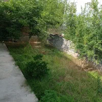 ملک حیاط دار
