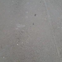 مدارک گمشده * مژدگانی داده میشود