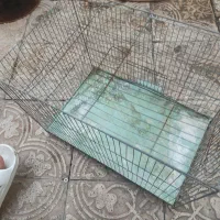 قفس پرنده فلزی بزرگ با سینی