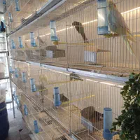 قصر پرنده انواع قفس پرنده و قفس و ملزومات پرنده|لوازم جانبی حیوانات|مشهد, آزادشهر|دیوار