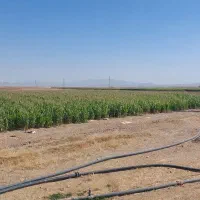 مزرعه با آب خوب جاده خمین جاده تهران جاده فراهان|فروش دفتر صنعتی، کشاورزی، تجاری|اراک, |دیوار