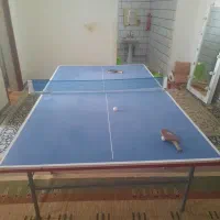 میز تتیس