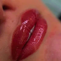 جذب مدل ب صورت محدودبرای تکنیک فیبروز.چشم.شیدینگ