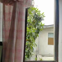 خانه آپارتمانی برای کرایه  در رشت