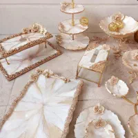 خاص پذیرایی کن .ظروف پذیرایی رزینی