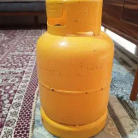 پیک نیک ۵کیلویی استاندارد