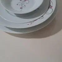 چینی|ظروف سرو و پذیرایی|شاهین دژ, |دیوار