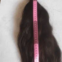 فروش موکوتاه شده