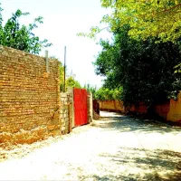 باغ مهریز|فروش خانه و ویلا|مهریز, |دیوار