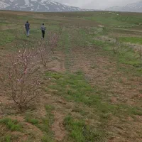 باغ 1000 متر سیلوه