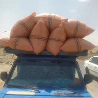 کاه نخود خرمنکوبی