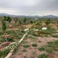 ۱۰۶۰م باغ(قطره ای چاه آب فنس درب گاراژی)میانچال