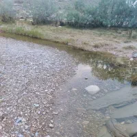 فروش-ده-هکتار-زمین-کشاورزی-سند-دار