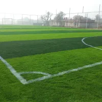 خدمات نصب حرفه‌ای چمن مصنوعی|خدمات پیشه و مهارت|ارومیه, |دیوار