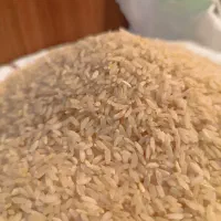 برنج کامفیروزی|خوردنی و آشامیدنی|صدرا-فارس, فاز ۱|دیوار