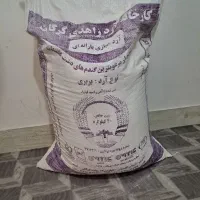 آرد زاهدی