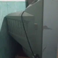 تلویزون