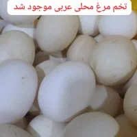 تخم مرغ محلی