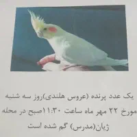 گمشده