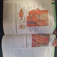 آناتومی گری سر و گردن و اندام پزشکی و دندانپزشکی|کتاب و مجله آموزشی|تهران, ونک|دیوار