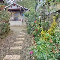 سوییت روزانه در دل طبیعت