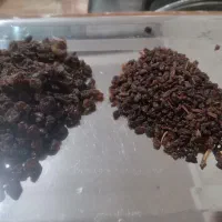 کشمش از ۸۹ تومن داریم تا ۱۵۰ باکیفیت