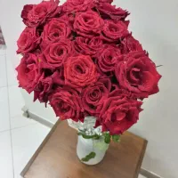 دسته گل طبیعی|گل و گیاه طبیعی|تهران, بهار|دیوار