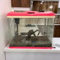 آکواریوم ماهی