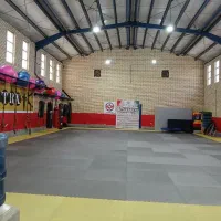مربی تکواندو اقا
