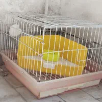 خانه حیوانات