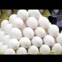 تخم مرغ خانگی سفید