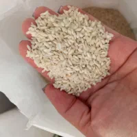 برنج چمپا خیجه