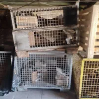 پالت های فلزی و چوبی