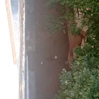 نضافت مجتمع