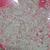 برنج درجه۱ عنبر شوشتر|خوردنی و آشامیدنی|اهواز, پادادشهر|دیوار