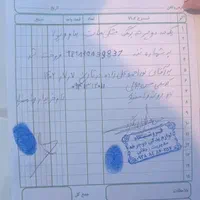 دوچرخه ویوا|دوچرخه، اسکیت، اسکوتر|مشهد, شهرک شیرین|دیوار