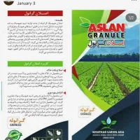 کود اسید هیومیک گرانوله|خدمات باغبانی و درختکاری|هادی شهر, |دیوار