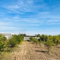 فروش-یا-معاوضه-باغچه-ویلایی-با-واحد-یا-ویلایی