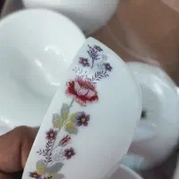 ماست خوری ارکوپال نو