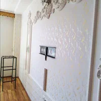 اجرای نقاشی طرح دار