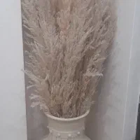 گلدون سفالی با گل پامپاس
